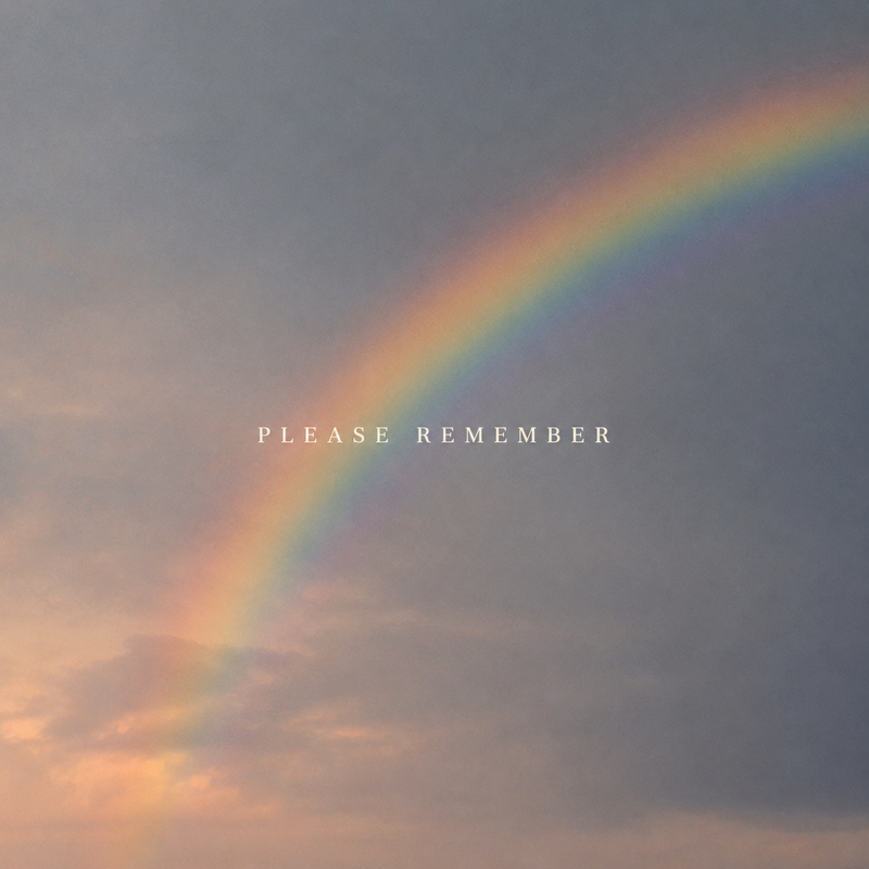 Pochette Please Remember
