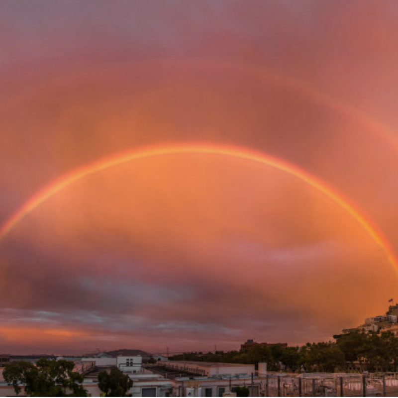 Pochette Wicked Game